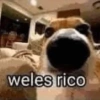 Memes para divertirse 5🤪 24