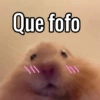 Para os apaixonados ❤️😻 15
