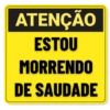 PLACAS APAIXONADAS 💟🥰 13