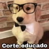 Corte educado