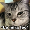 *Le mira feo*