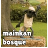mainkan
bosque