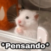 *Pensando*