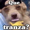 Peyitos Bonitos❤️🐕🥈 22