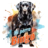 Dia de perro 5 30