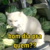 bom dia pra
quem??