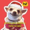 Hi!angel - natal pets 6