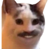 Meme reaction 2 7