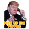 Trump :- The End 6