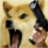 Doge Memes 🐶 16