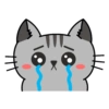 Gatitos para la depresión 7