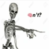 Shiposting stikers V1 5
