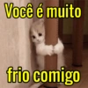 Para os apaixonados ❤️😻 9