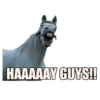 HAAAAAY GUYS!!