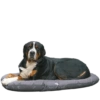 Memes de animais 4 22