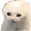 Sad Cats 11