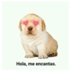 Hola, me encantas.