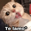 Te lamo*