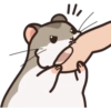 Seba The Hamster 9