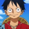 Monkey d. luffy 28