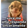 voce me ama responda sinceramente