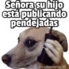 🥳Memes Party 6🎊 14