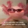 ya es miércoles casi jueves
casi viernes casi semana santa