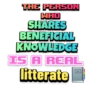 THE PERSON
SHARES
BENEFICIAL
KNOWLEDGE
IS A REAL
litterate