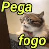 Pega fogo