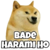 Dog Memes 9