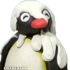 Pingu 🐧 10