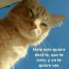TRASHING
Hola solo quiero
decirte, que te
amo, y ya te
quiero ver.