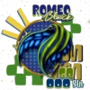 MASCOTAS  11