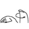 Flork  20