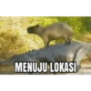 Reaksi 2 11