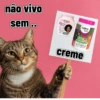 Melhores figurinhas 23