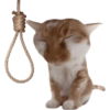 Cat Rulez 30