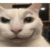 Cat images I love 5