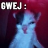Top Kucing Plenger Meme 14