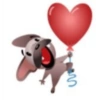 Perro de facebook 10