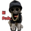 Lollycat 5