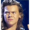 Harry styles memes 23