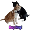 Cat Rulez 27