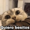 Quiero besitos