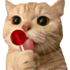 Cat Rulez 13