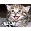 #Gatitos tiernos 😍❤️ 5