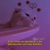 Gatitos para pareja 14