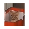 Gatos 21
