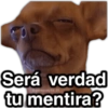 📮MEMES para ti 17📩 18
