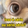 isso é sério ou sério sério?